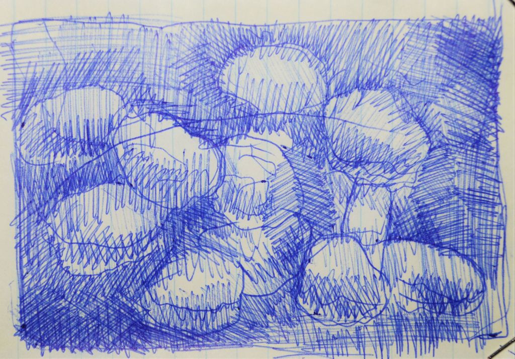 ball point pen drawing of ovals, hatch marks, doodle, design sketch, Aletha Kuschan 